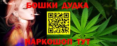 гидропоника Будённовск