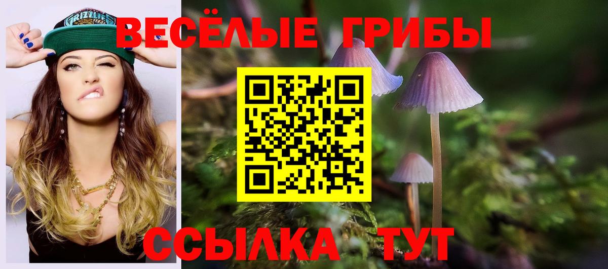 Шадринск  Псилоцибиновые грибы мухоморы  Вход с VPN 